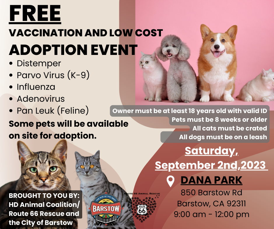 VACCINATION AND LOW COST ADOPTION EVENT update Sept