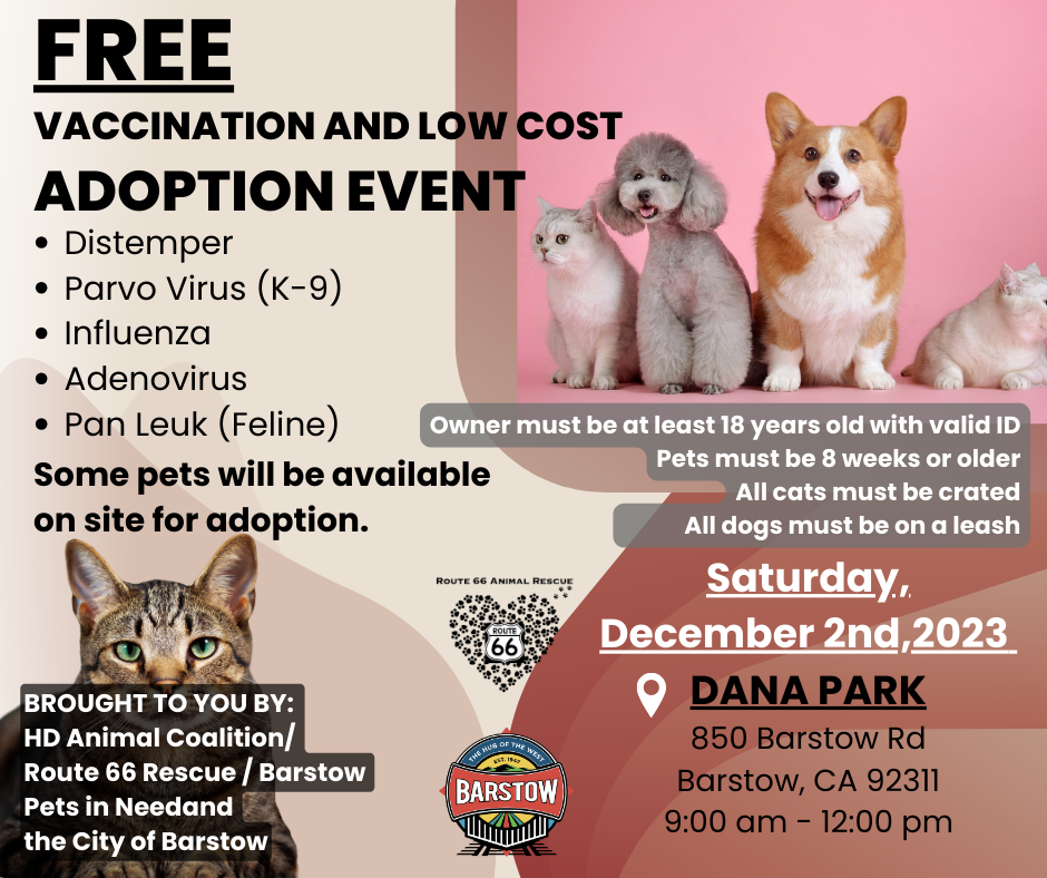 VACCINATION AND LOW COST ADOPTION EVENT update